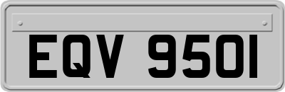 EQV9501