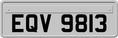 EQV9813