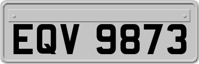 EQV9873