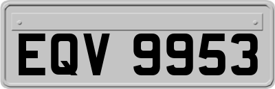 EQV9953