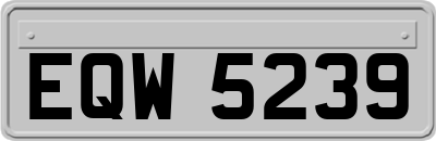 EQW5239