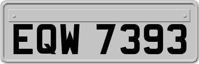 EQW7393