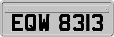 EQW8313