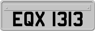 EQX1313