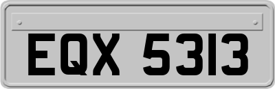 EQX5313