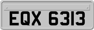 EQX6313