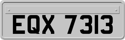 EQX7313