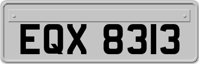EQX8313