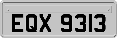 EQX9313