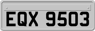 EQX9503