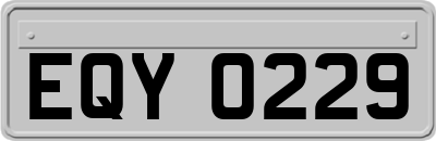 EQY0229