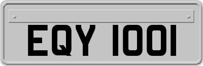 EQY1001
