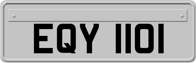 EQY1101