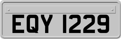 EQY1229