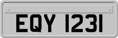 EQY1231