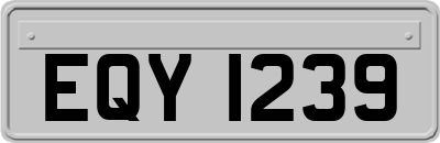 EQY1239