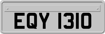 EQY1310