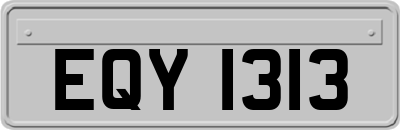 EQY1313