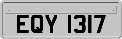 EQY1317