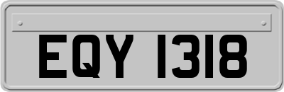 EQY1318