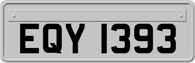 EQY1393