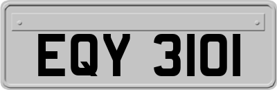 EQY3101