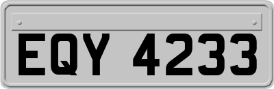 EQY4233