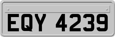EQY4239