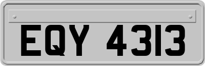 EQY4313