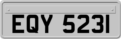EQY5231