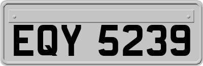 EQY5239