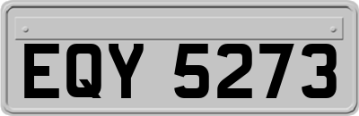 EQY5273