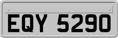 EQY5290