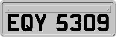 EQY5309
