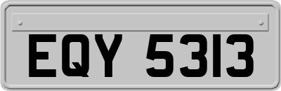 EQY5313