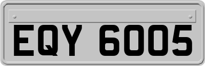 EQY6005