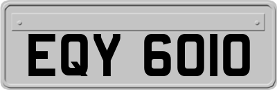 EQY6010