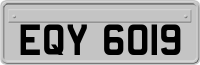 EQY6019