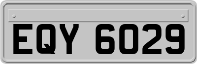 EQY6029