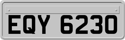 EQY6230