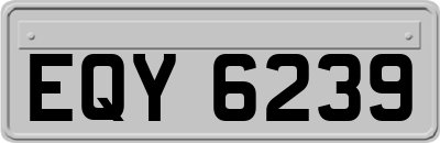 EQY6239