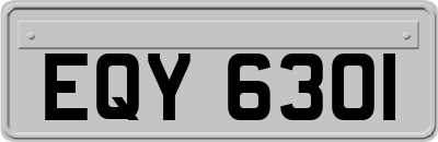 EQY6301