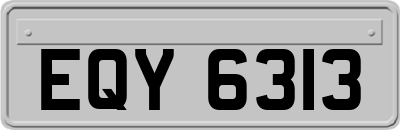 EQY6313