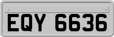 EQY6636