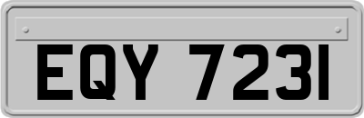 EQY7231