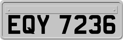 EQY7236
