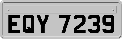 EQY7239