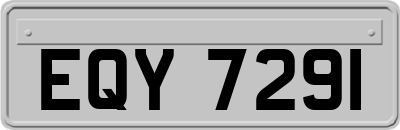 EQY7291