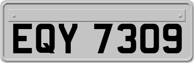 EQY7309