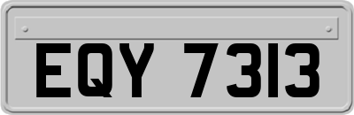 EQY7313